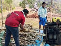 HH Swamiji's visit to Alemane (jaggery manufacturing house) at Kembre (19 Feb 2026)